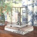 Darby Home Co Wallick Glass Box on Marble and Brass Base Decorative Box DRBH7001